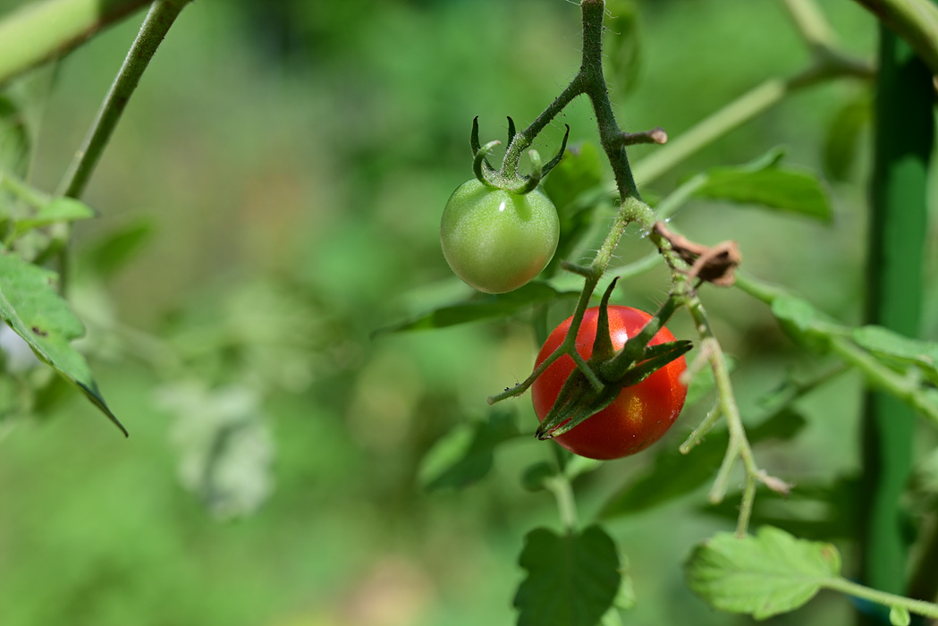 DSC_5149.jpg