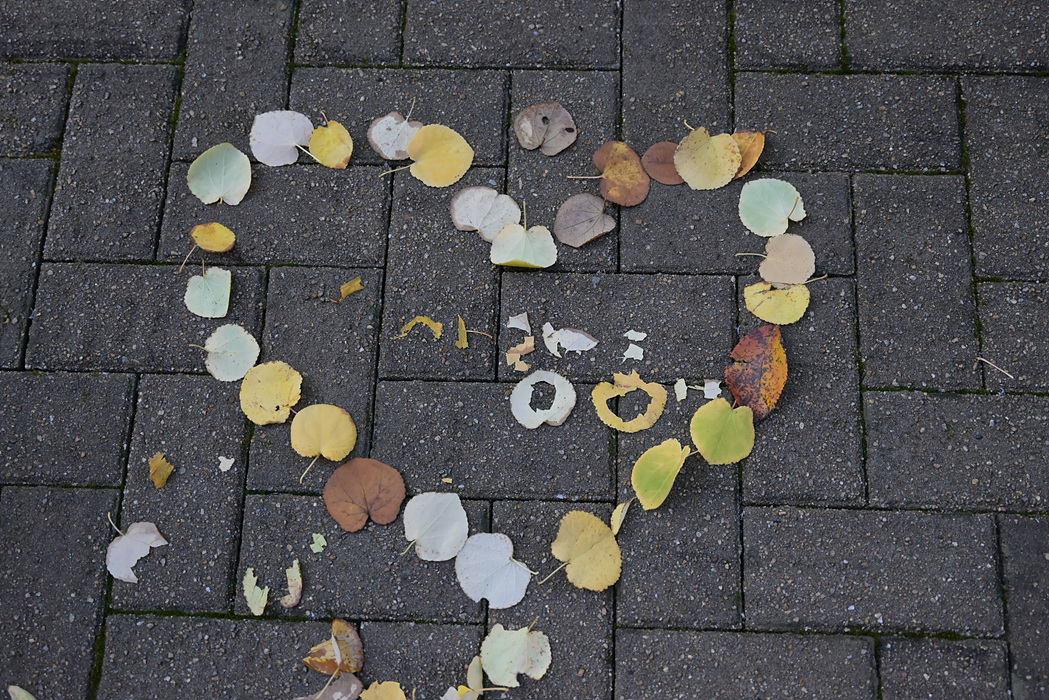 DSC_7077.jpg