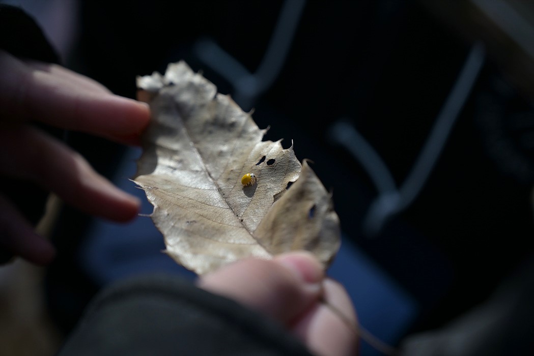 DSC_9253.jpg