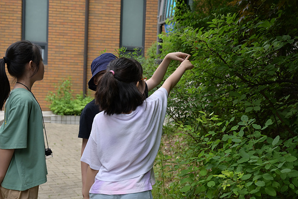 DSC_8916.jpg