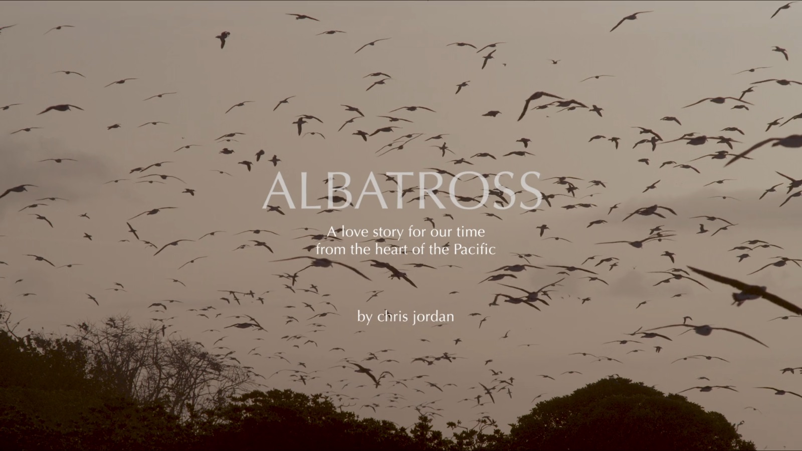 albatross movie.jpg