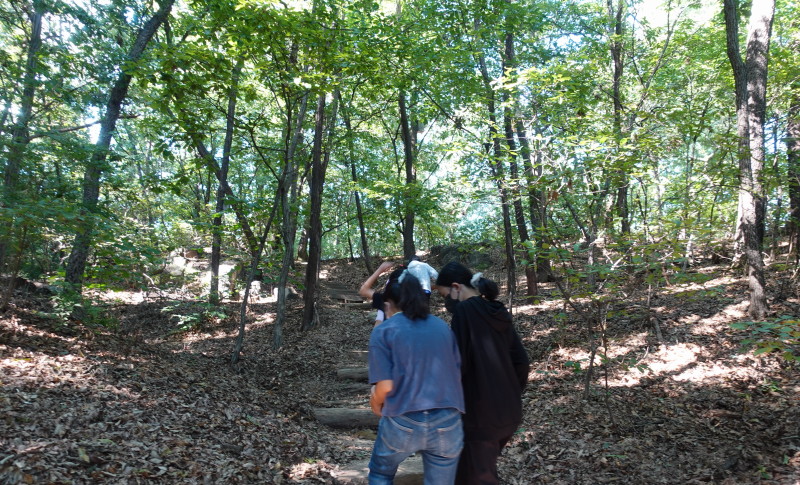 DSC06457-사진 변환.JPG